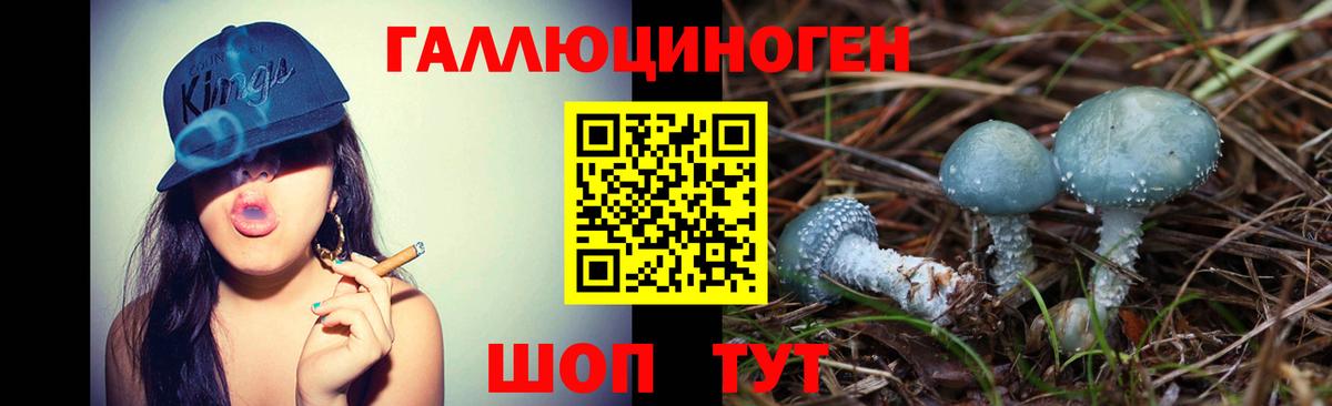 Псилоцибиновые грибы Cubensis  хочу   Зеленокумск  Вход с VPN 